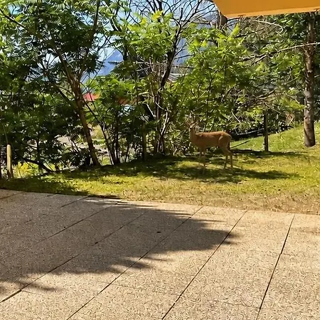 Apartment Haydn Garden & Terrace